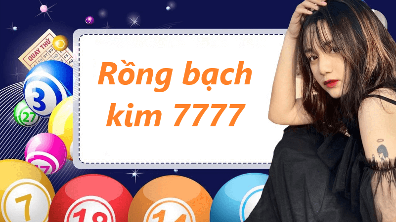 cách thực hiện soi cầu rồng bạch kim 7777